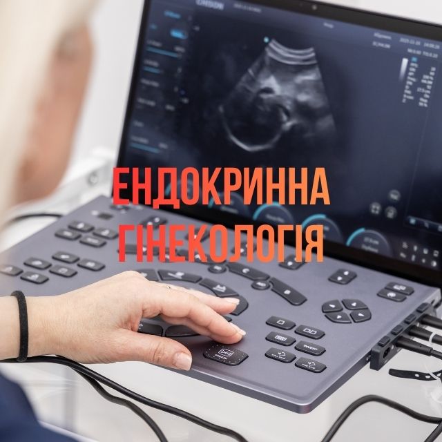 Профессиональная поддержка